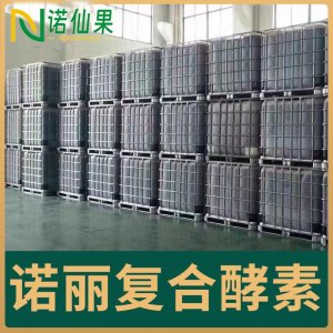 諾麗復合酵素 OEM/ODM貼牌代加工