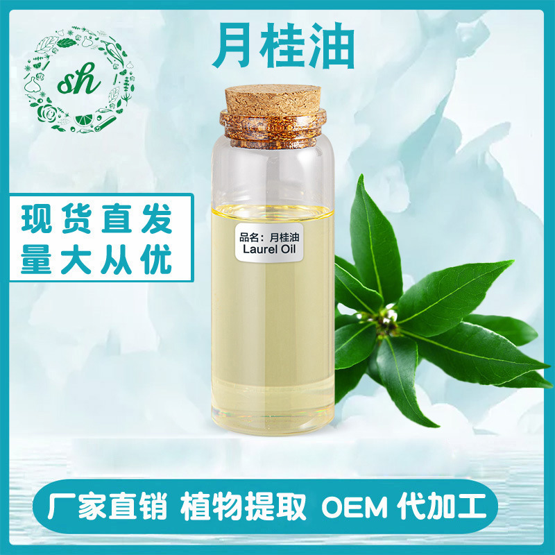 月桂油 月桂精油 月桂葉油 單方植物精油 廠家直銷 量大價(jià)優(yōu) 現(xiàn)貨