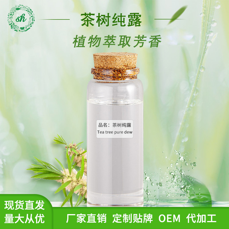 茶樹(shù)純露 植物提取液 可用于化妝品原料 飽和純露水 廠家直銷價(jià)優(yōu)