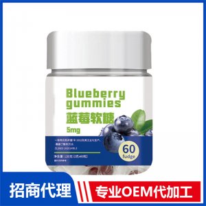 藍莓軟糖OEM代加工 軟糖凝膠糖果貼牌定制