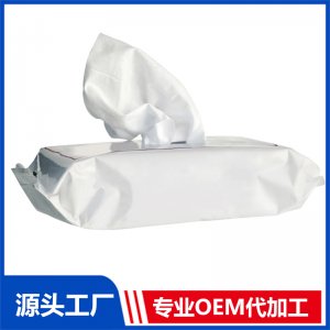 消毒濕巾OEM/ODM貼牌代加工批發定制源頭廠家