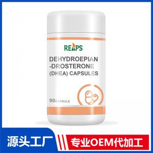 脫氫表雄酮（DHEA）膠囊 OEM/ODM貼牌代加工批發定制