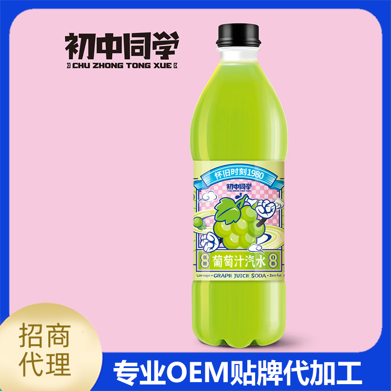 江蘇飛之鴻延中飲品有限公司